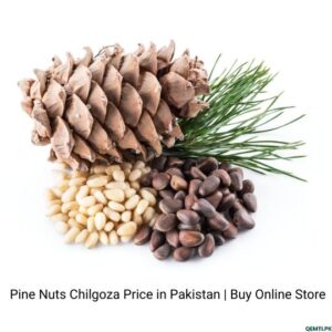 Pine Nuts Chilgoza Price in Pakistan Buy Online Store